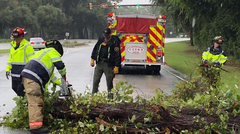 As Dorian roars off the SC coast, numerous trees falling in Beaufort Co.