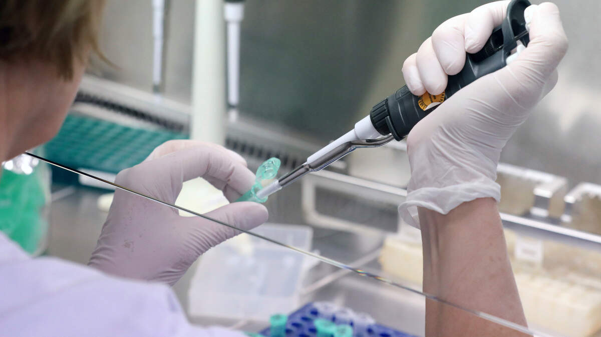 A woman prepares samples at a safety workbench for testing for the genotype of the new coronavirus at the Institute of Medical Microbiology, Virology and Hygiene of the University Medical Center in Rostock, Germany, Tuesday, March 10, 2020. More than 50 samples are tested here every day for the Sars-CoV-2 virus. For most people, the new coronavirus causes only mild or moderate symptoms, such as fever and cough. For some, especially older adults and people with existing health problems, it can cause more severe illness, including pneumonia. (Bernd Wuestneck/dpa via AP)
