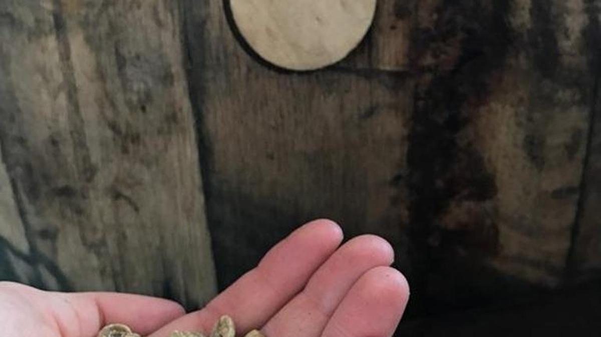 These aged coffee beans are ready for brewing at Corner Perk in Bluffton.