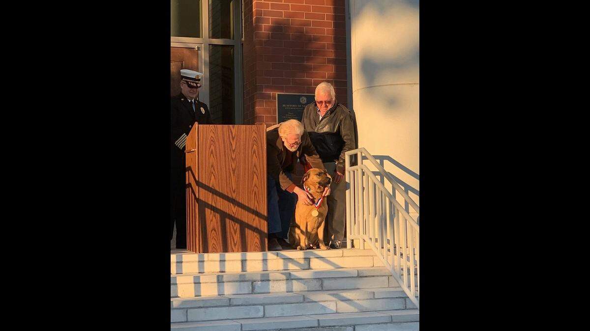 City of Beaufort Mayor Billy Keyserling places a medal on Curly the dog in a ceremony on Nov. 19, honoring him for saving his owner’s life when their home caught fire in October.