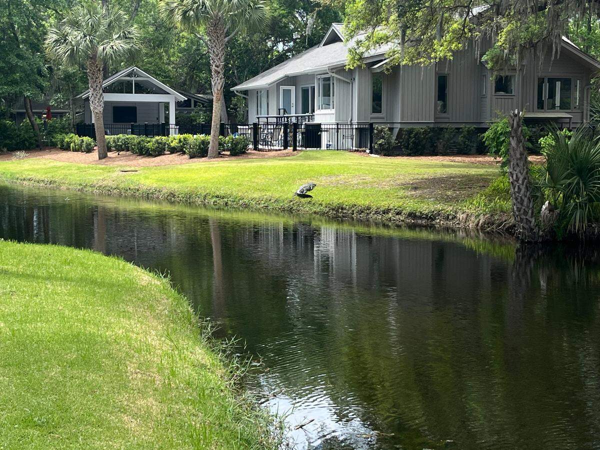 Alligator spotted sunbathing near the 2nd hole during Justin Thomas’ playing time on Friday, April 18, 2025