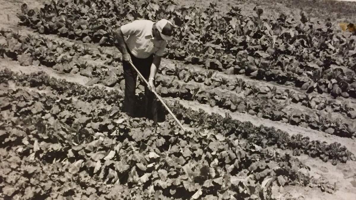 When working the land was a larger part of life in Beaufort.