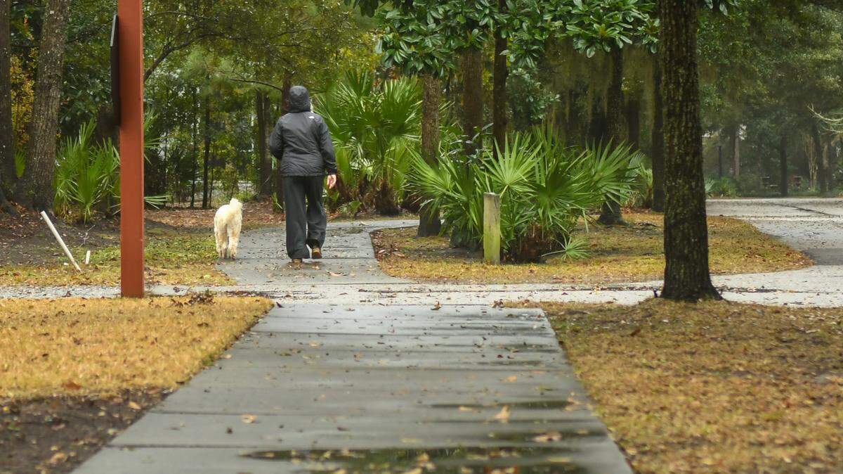 A lull in the rain allows a person in full rain gear to walk a dog on Jan. 9, 2024 in the Stock Farm neighborhood in Bluffton before severe thunderstorms arrive in the Lowcountry.