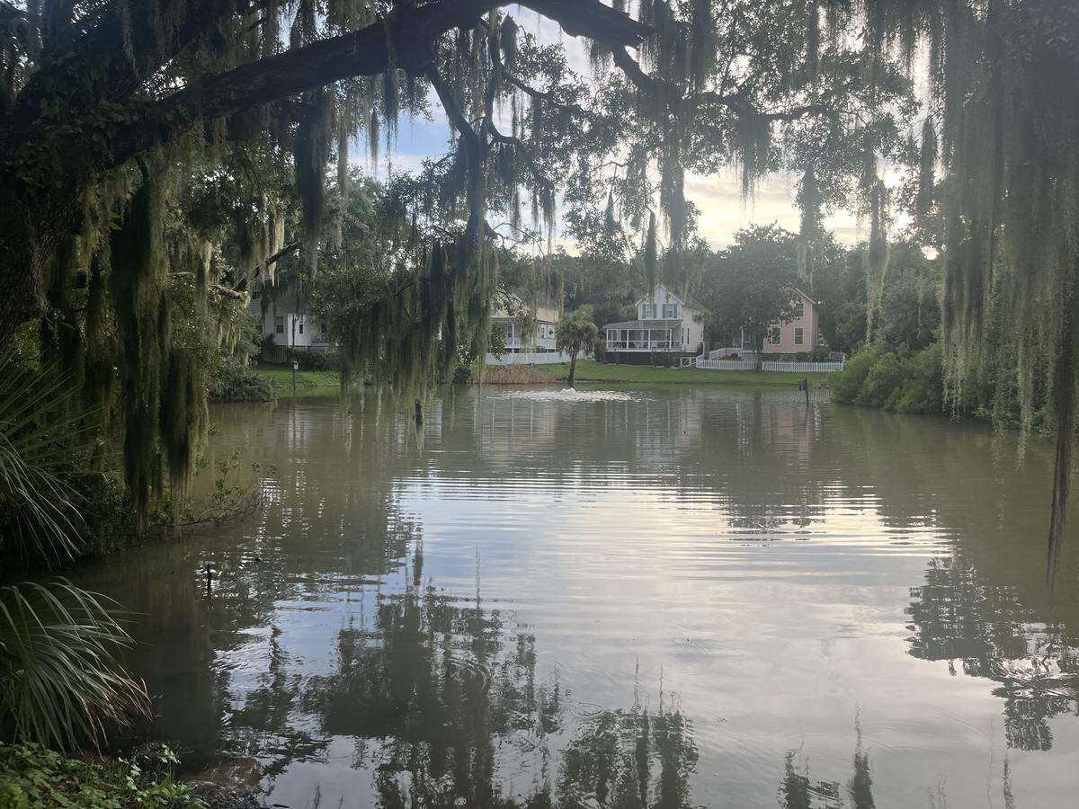In the “duck blind” housing development, homes front a pond. A development going in next door called London Square will have similar features, according to the town of Port Royal.