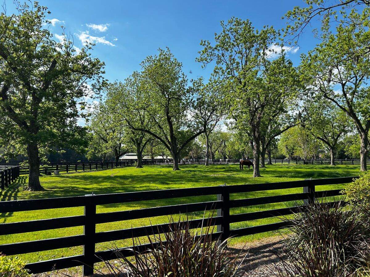 The Moss Creek Stables on April 25, 2024.
