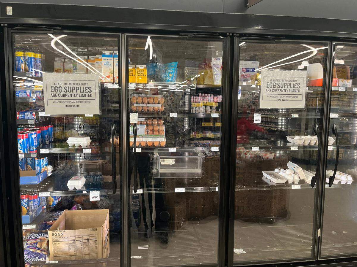 Eggs at Kroger in Beaufort County