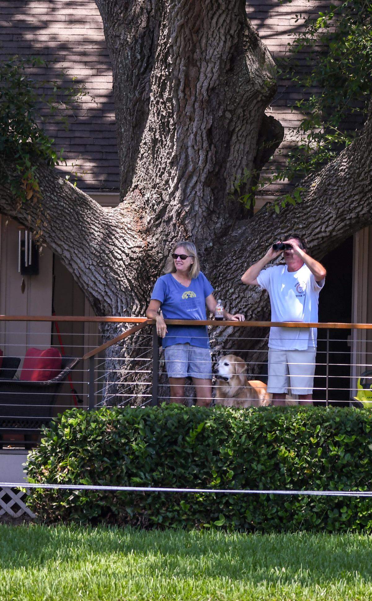 Under a towering live oak tree, fans try to get a glimpse of first round play of the RBC Heritage on Thursday, June 18, 2020, at the 16th green at Harbour Town Golf Links in Sea Pines on Hilton Head Island.
