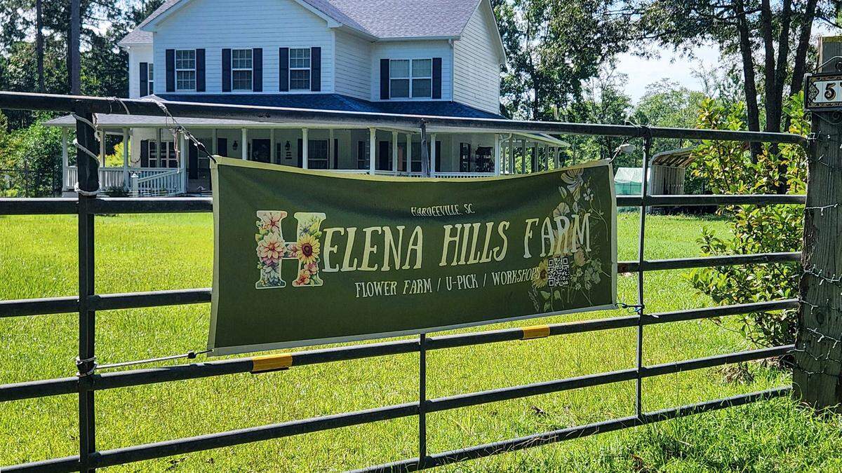 The farmhouse on the grounds of Helena Hills Farm photographed on July 14, 2025, in Hardeeville, S.C. The farm offers u-pick events as well as pressed-flower workshops where attendees can make floating candles, bookmarks and floral frames.