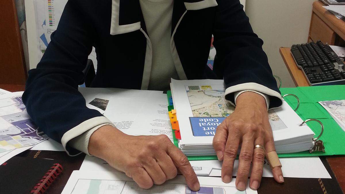 Port Royal town planner Linda Bridges explains zoning maps for proposed form-based code at a March 12, 2014, meeting.