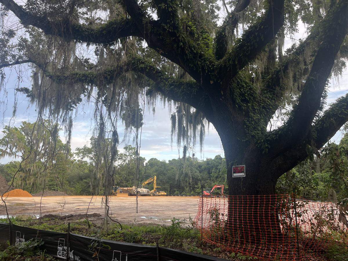 A key feature of a new residential development in the heart of Port Royal is the number of trees that will be kept and incorporated into the design, according to Planning Director Noah Krepps.