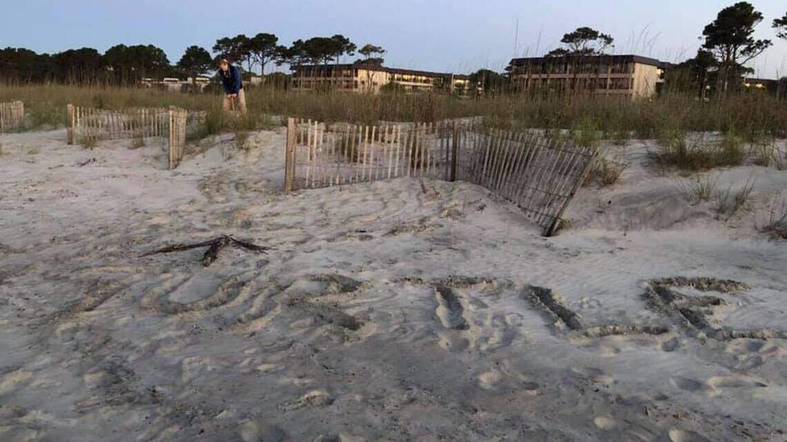 Hilton Head area groups call out beach forts, wedding chairs that threaten wildlife