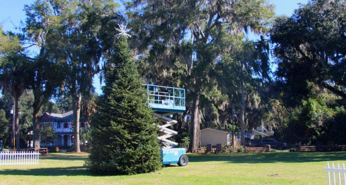The Town of Bluffton’s Christmas Tree in Martin Family Park. It was officially lit in a livestream ceremony Dec. 4