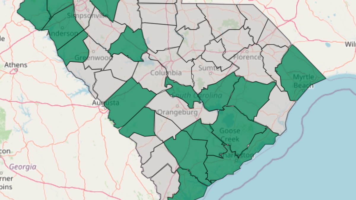 Over 30,000 meters on Hilton Head Island were without power Monday morning, according to Palmetto Electric. This map shows all counties with The Electric Cooperatives of South Carolina outages on Monday morning.