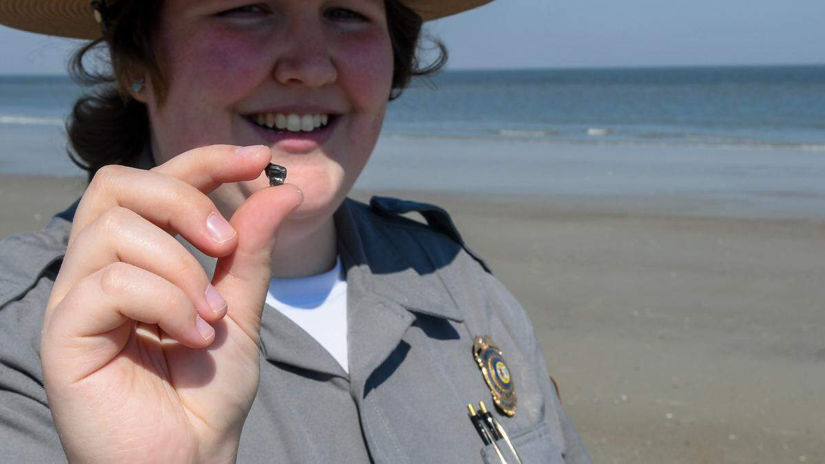 South Carolina State Park Service interpretive ranger Rachel Dunn shows an oyster shell that many people may think is a shark tooth on Thursday, March 14, 2024 at Hunting Island State Park.
