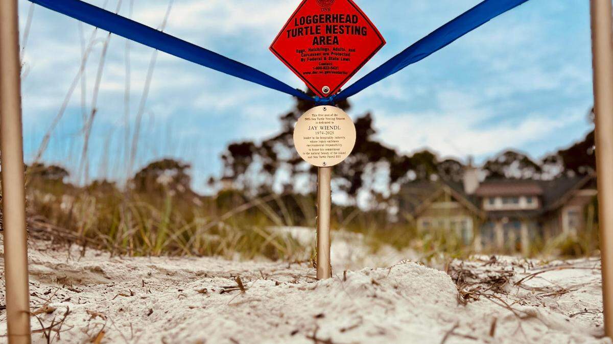 The first sea turtle nest of the season was named Wednesday in honor of recently deceased Hilton Head hotel manager Jay Wiendl.