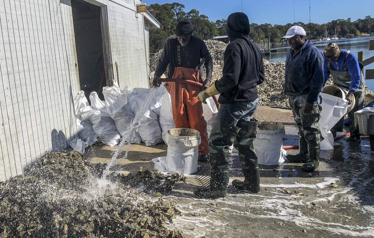 Oyster fishermen clean off oysters at Bluffton Oyster Company on Thursday, Dec. 5, 2019.