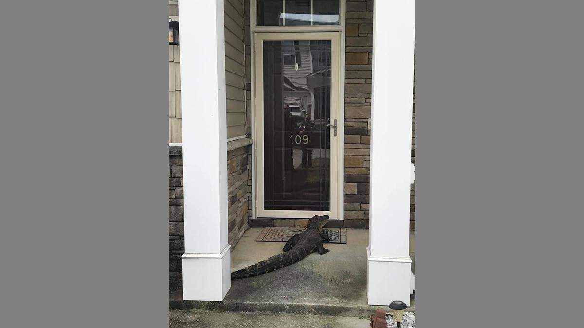 A homeowner called police about an “unwanted solicitor” at the front door.