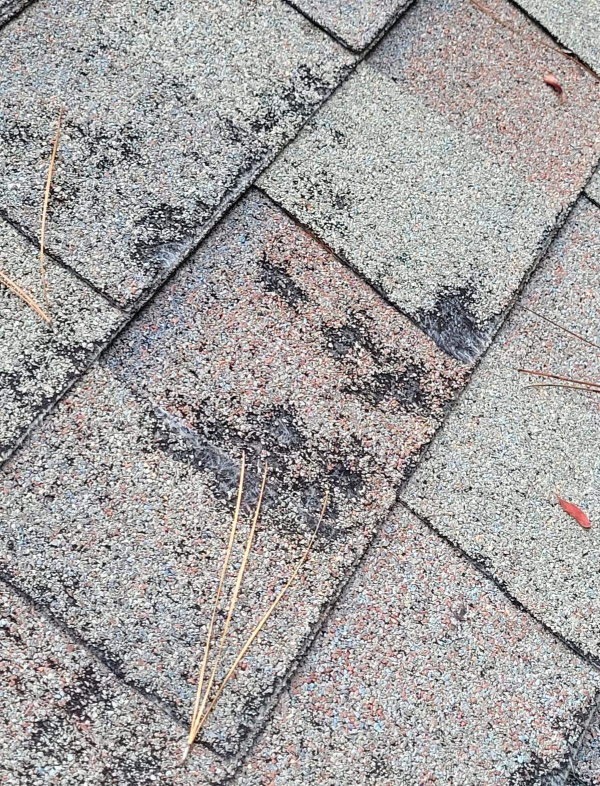 The Parks family says toxic mold is growing from water damage in their Townes at Buckwalter condo. Pictured is their roof covered in what they suspect to be black mold.