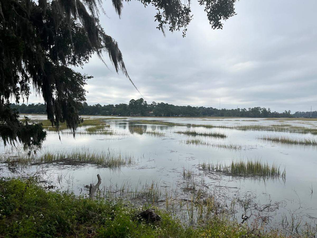 Land along Boundary Street offers views of Battery Creek and the marshes.