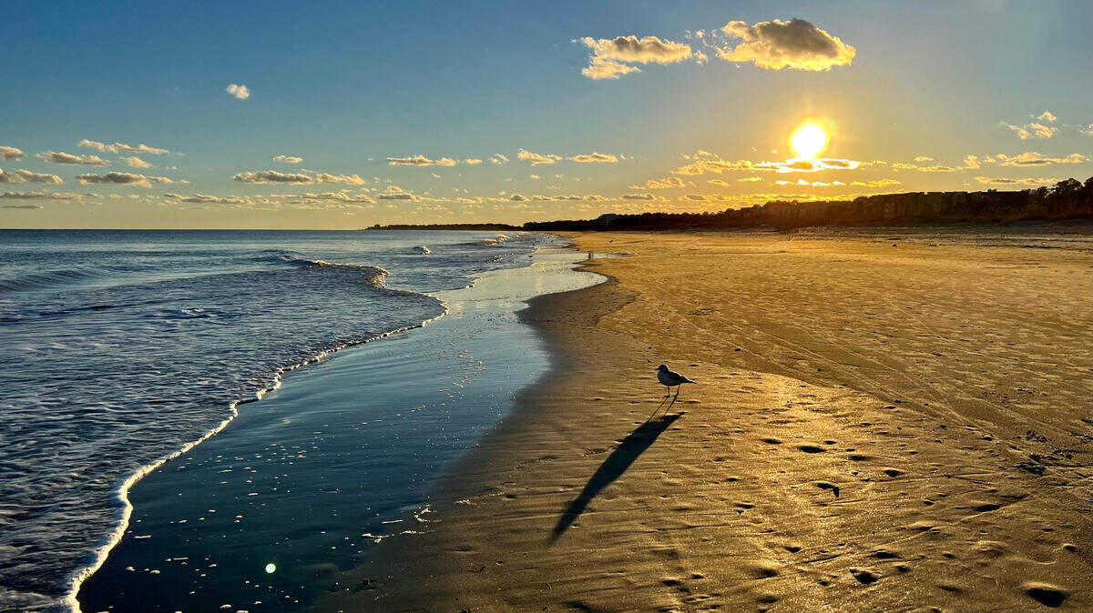 A photo of Islanders Beach Park on Hilton Head. 