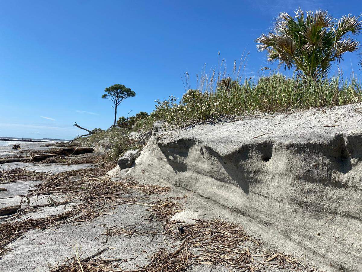 Dune erosion facing Hunting Island’s south beach near Beach Access #1 post-Tropical Storm Idalia in Beaufort County, South Carolina, on Friday, Sept. 1, 2023.