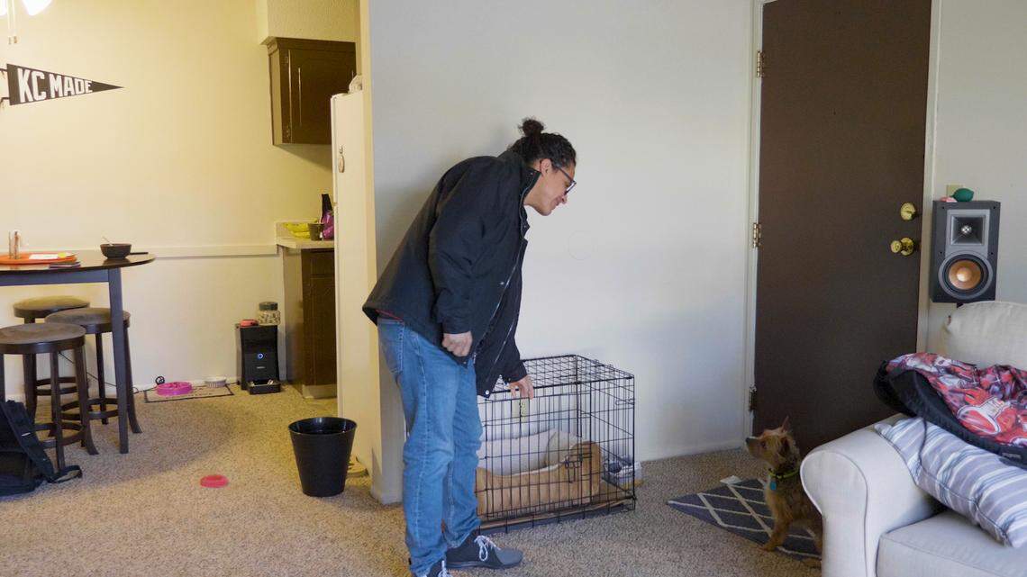 Victor Morales plays with his dog in his Kansas City, Mo., apartment. In order to pursue his college degree as a DACA recipient, he had to leave almost everyone he knew in South Carolina, where he had lived for 10 years.