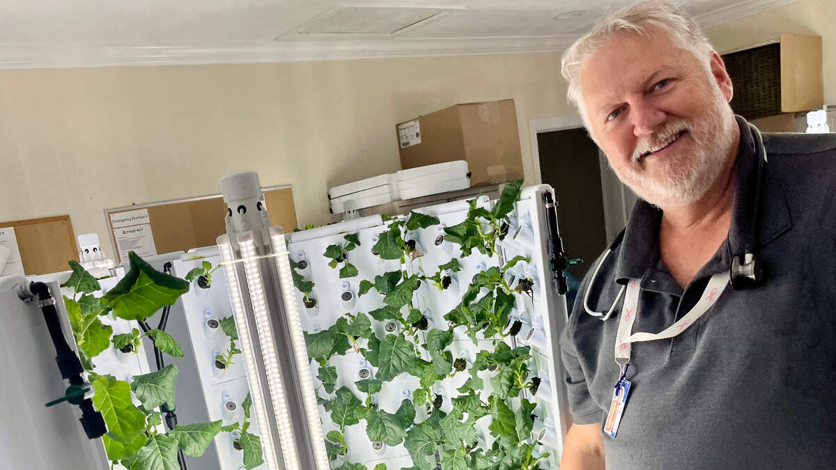Modern Lowcountry collard greens are grown hydroponically at the “Farm-Acy” at the Hilton Head Volunteers in Medicine Clinic. Executive director Dr. John Newman, pictured here, wants patients to eat better.