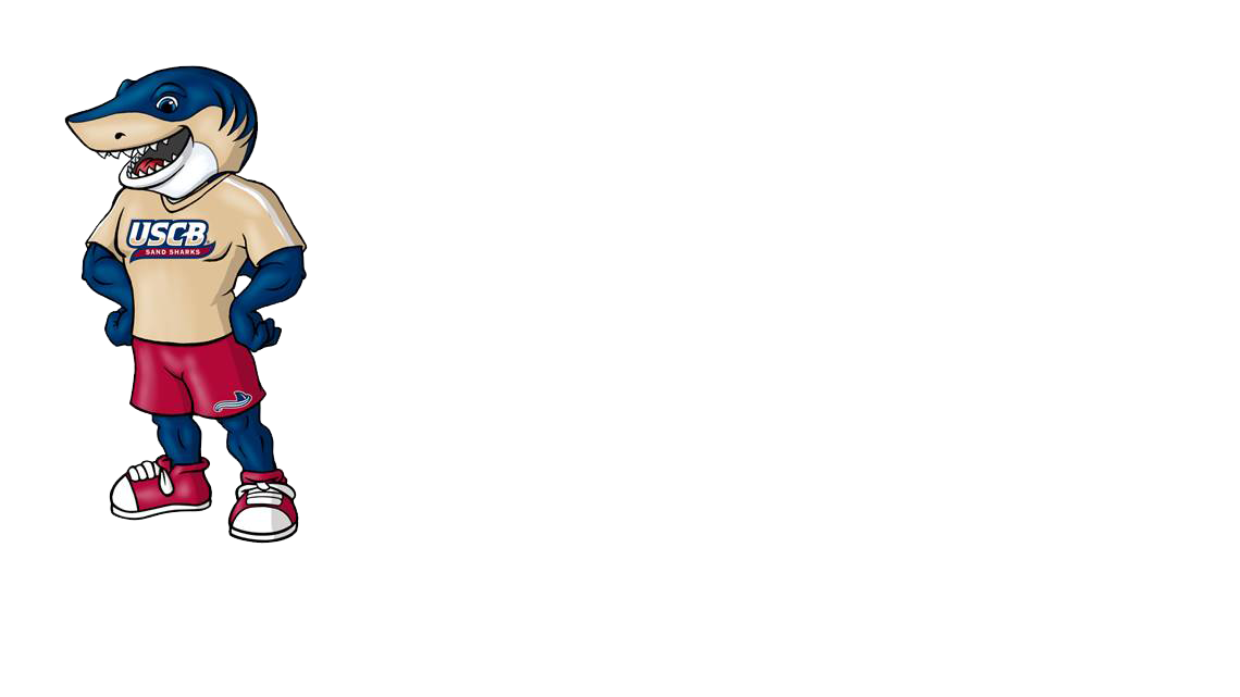 USCB getting first-ever mascot character; list of names whittled to four