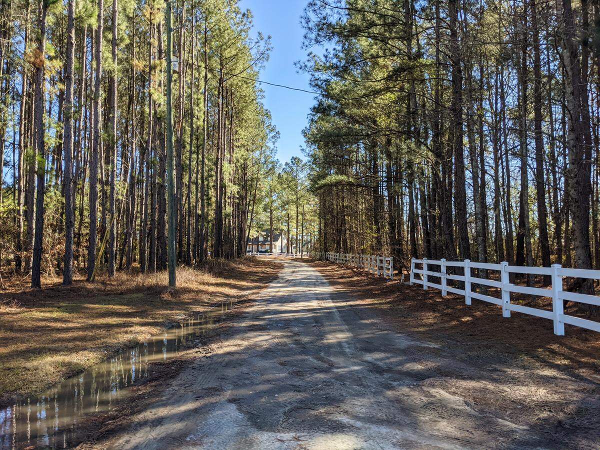Forest Grove Road, in Scotia in Hampton County, S.C., is pictured on Jan. 28, 2021.