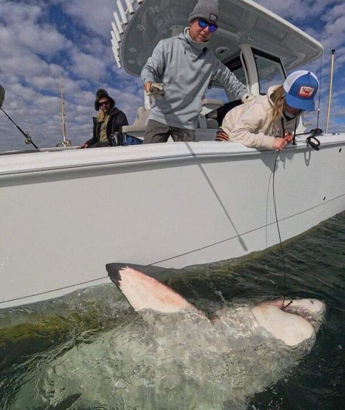Chip Michalove, local charter captain with Outcast Sport Fishing and shark expert, tagged the first great white shark of the season on Nov. 30, 2025, marking one of the earliest arrivals ever recorded.