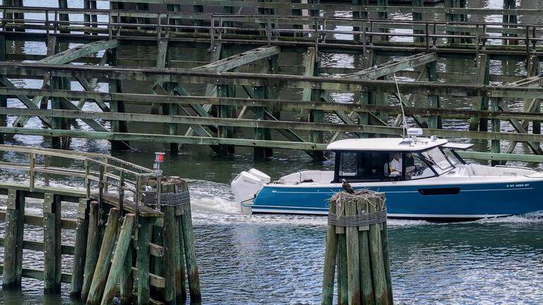 Charismatic osprey turns heads as boaters cruise through Beaufort’s famous bridge