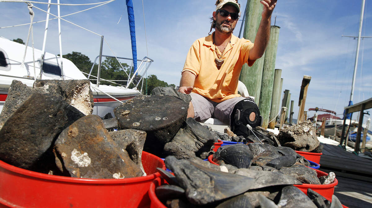 Mike Harris, also known as the Shark Tooth Fairy, pulls out several buckets of fossils Oct. 9, 2014, on the docks at Coosaw Island. The fossils, nearly a half a ton of them, were used for a children's fossil hunt on Oct. 11, 2014.