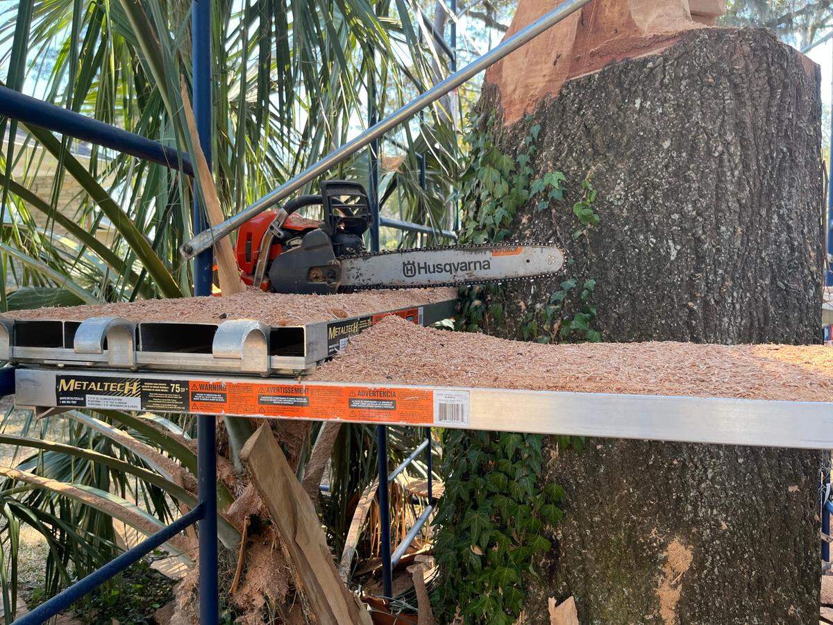 One of Chris Lantz’s chainsaws.