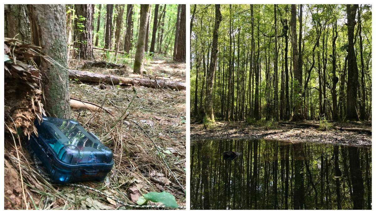 Left: Blue Sky Preserve is home to nearly a dozen carefully tended geocaches. Geocaching is an outdoor activity where you can use a GPS (or smartphone app) to locate hidden boxes containing small items to exchange and a logbook to sign. Right: The preserve’s trails that take you from pine uplands through hardwood forest and into depressional wetlands. 
