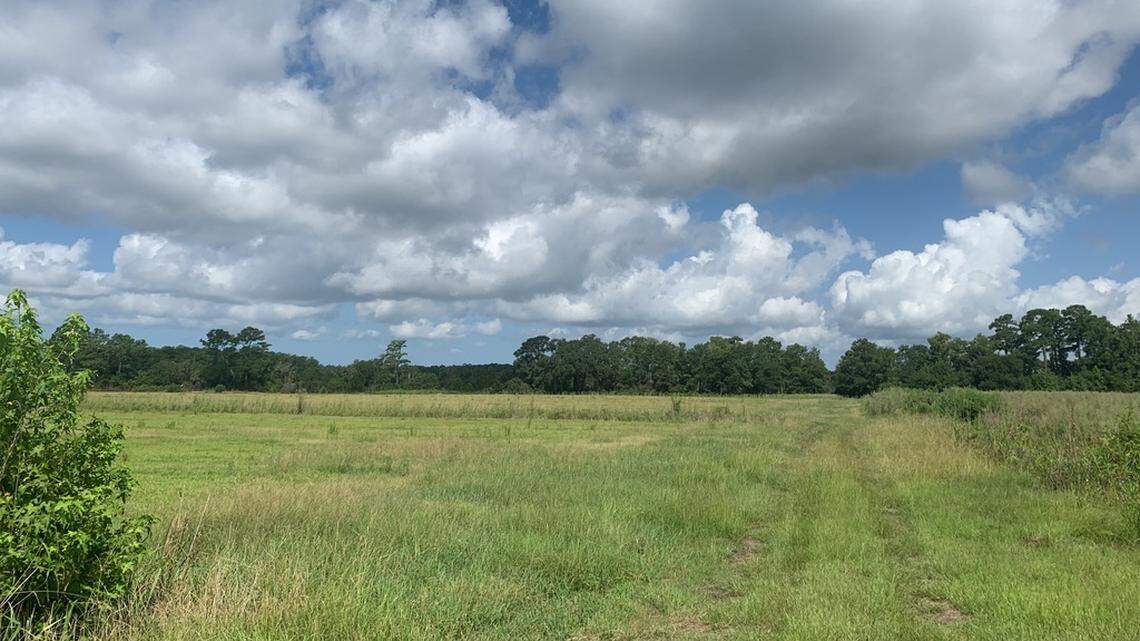 Beaufort County’s Green Space sales tax increase started Monday. How much will it cost you?