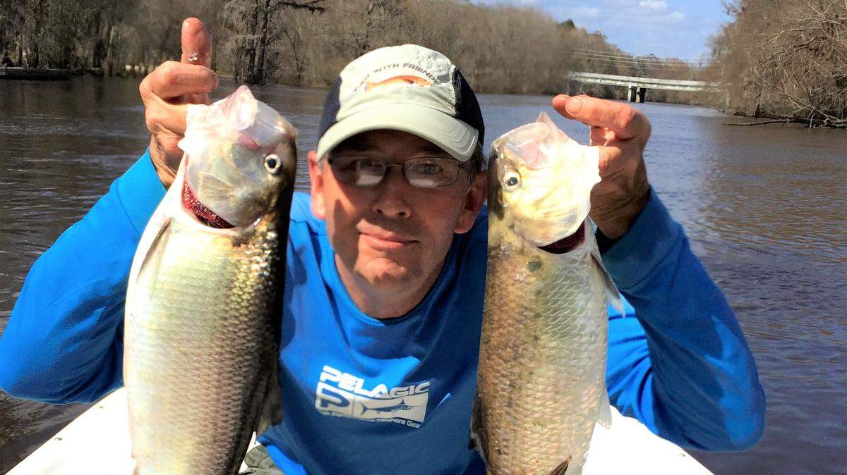 Collins Doughtie with February shad.
