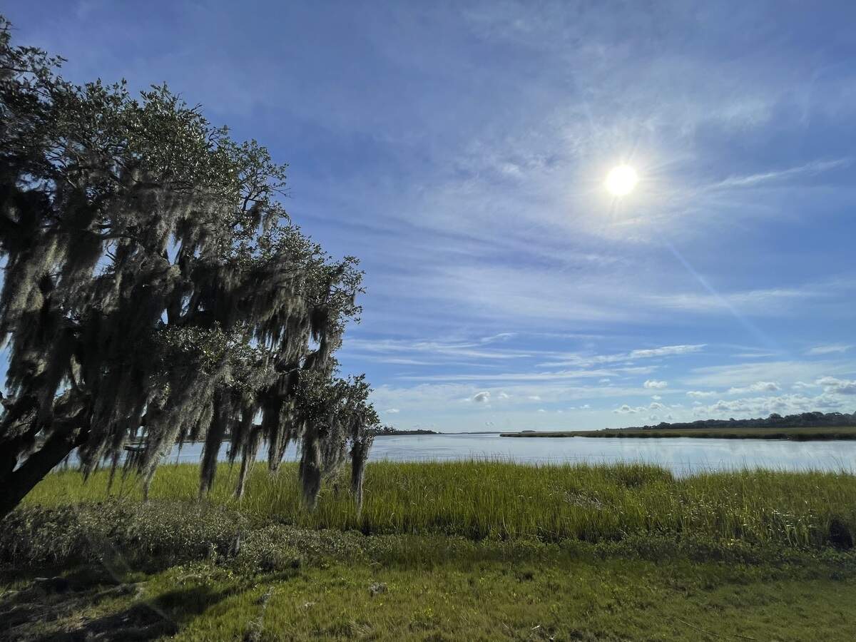 The U.S. Department of Defense and Beaufort County have purchased 2,068 acres of land at Oak Point near Beaufort for $5.8 million. The waterfront property and the uplands will be permanently protected with a conservation a easement.