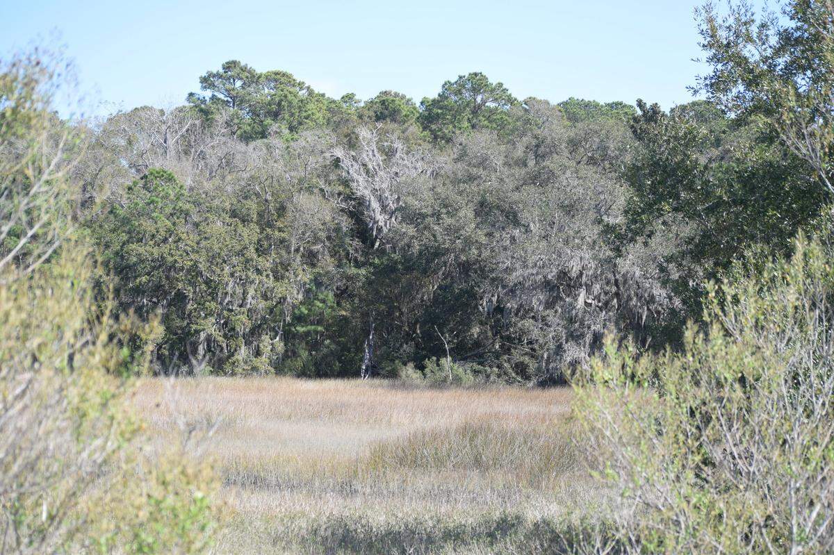Hilton Head will construct a new workforce housing development on a 12-acre tract of land just off William Hilton Parkway and Marsh Point Drive. The town received 10 bids for the public-private partnership and will narrow down seven finalists.