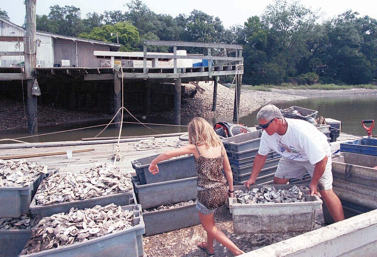 In this file photo from 2002, Jamie Toomer, helps her father, Larry Toomer, move a box of empty oyster shells at the Bluffton Oyster Company.