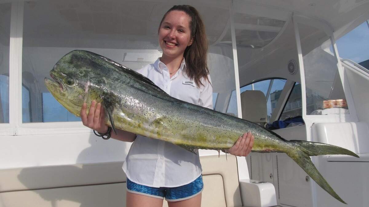 Carlyle Cornell missed out on $10,000 by 3 ounces with this mani-mahi in the Edisto Billfish Tourney. Next year!
