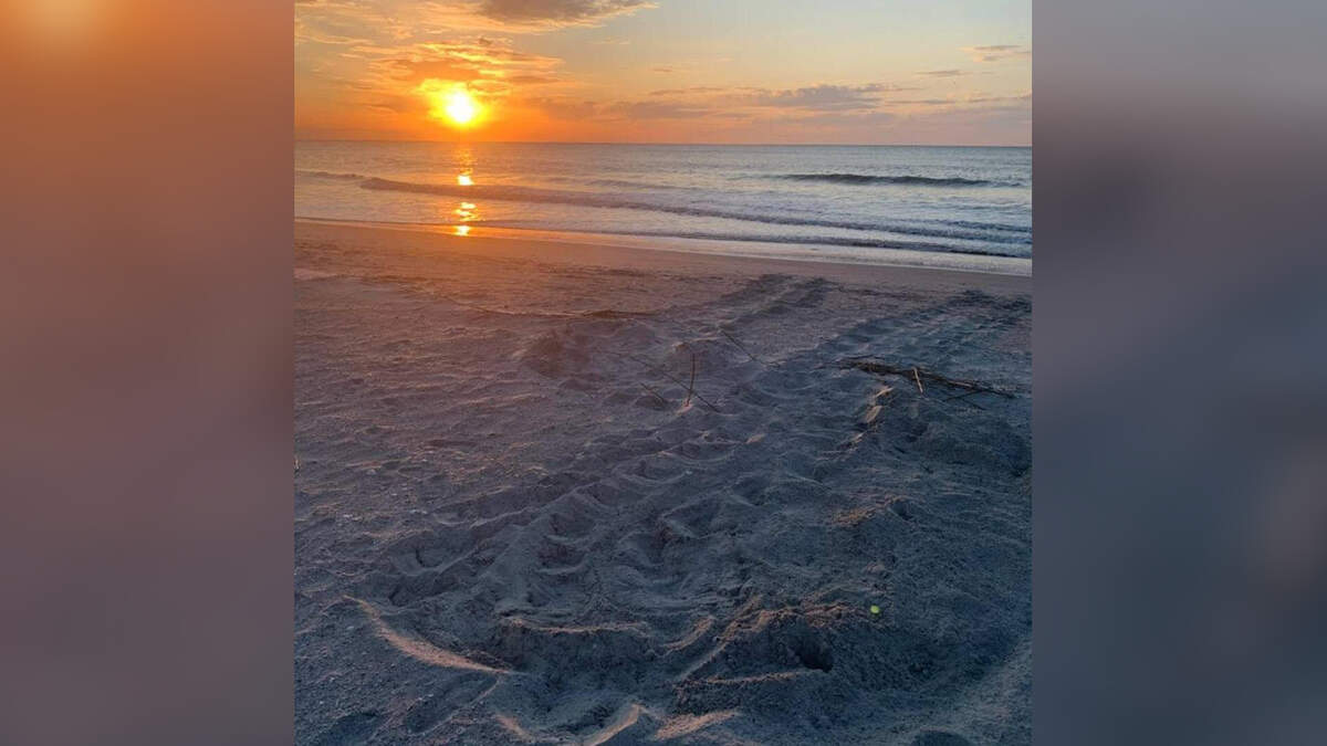 Hunting Island’s first Loggerhead sea turtle nest of the 2020 was reported Monday, May 4.