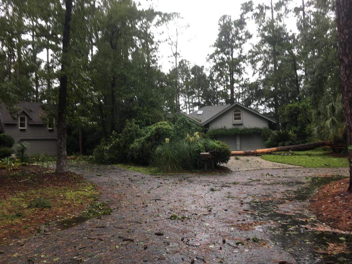 Another tree falls close to a home near Dolphin Head Park.