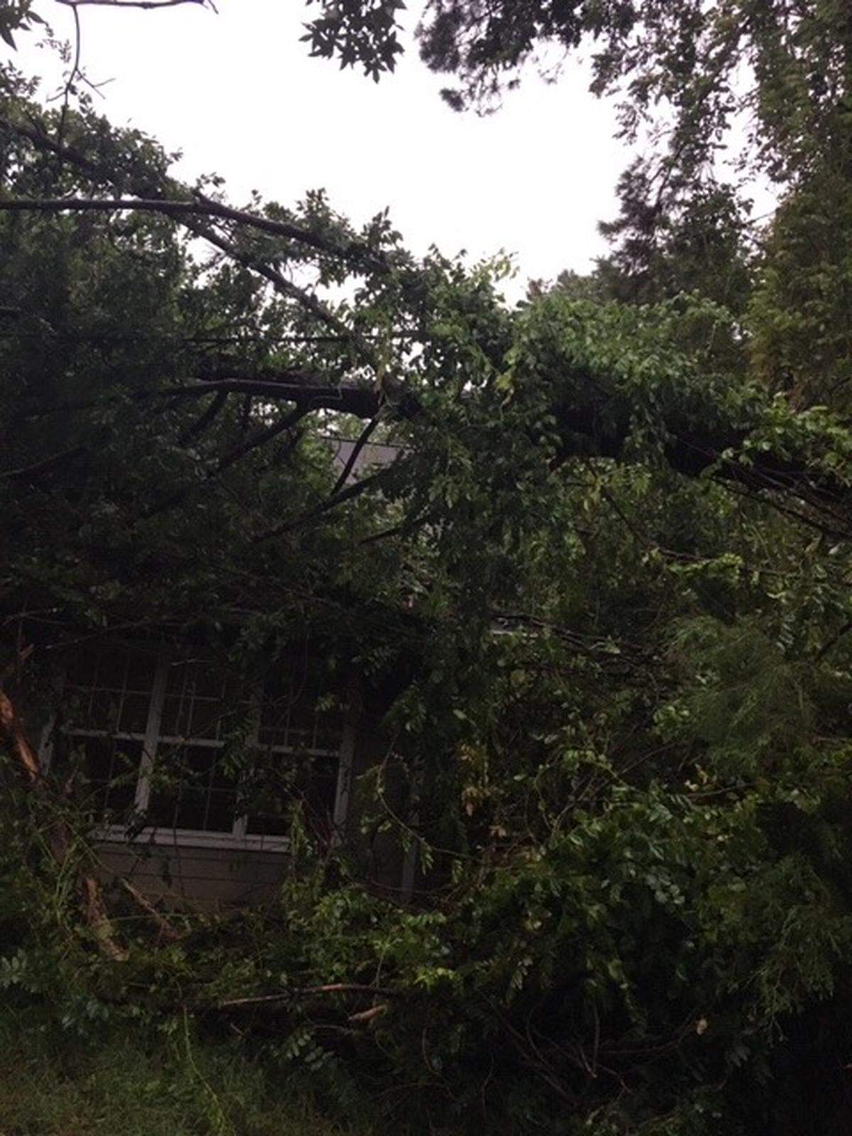 A tree fell on top of a home in the Heritage Lakes neighborhood in Bluffton on Thursday during Hurricane Dorian.