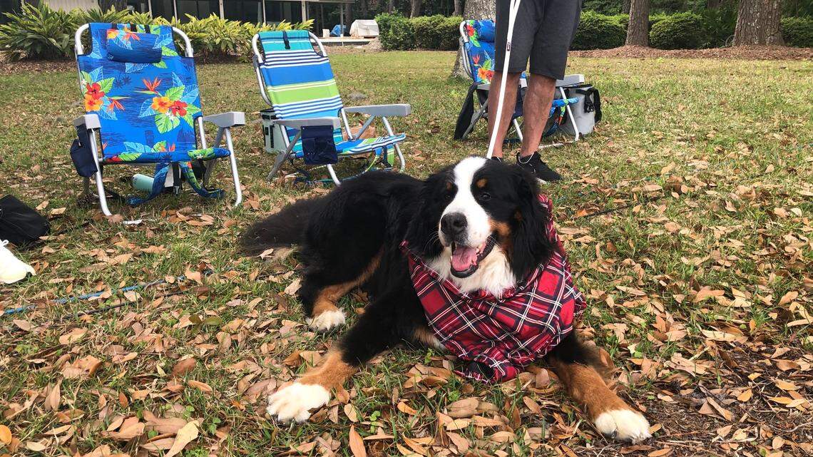 Hilton Head’s biggest party makes a comeback: Newly vaccinated celebrate at RBC Heritage