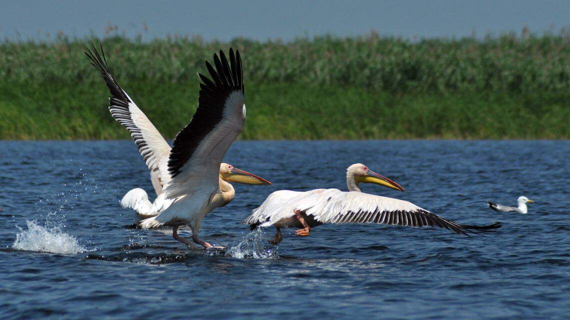 Clocks are changing, but has spring really sprung in SC Lowcountry?