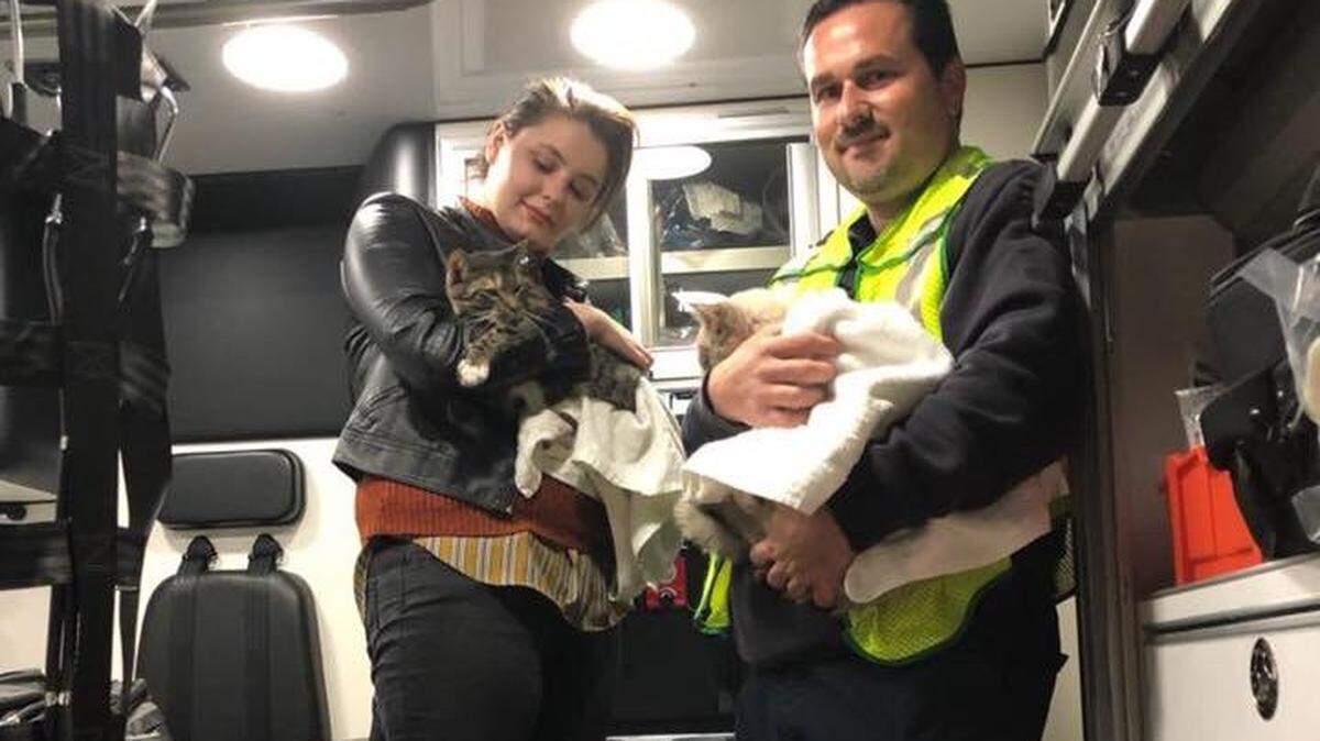 Two cats were saved during a house fire Wednesday night