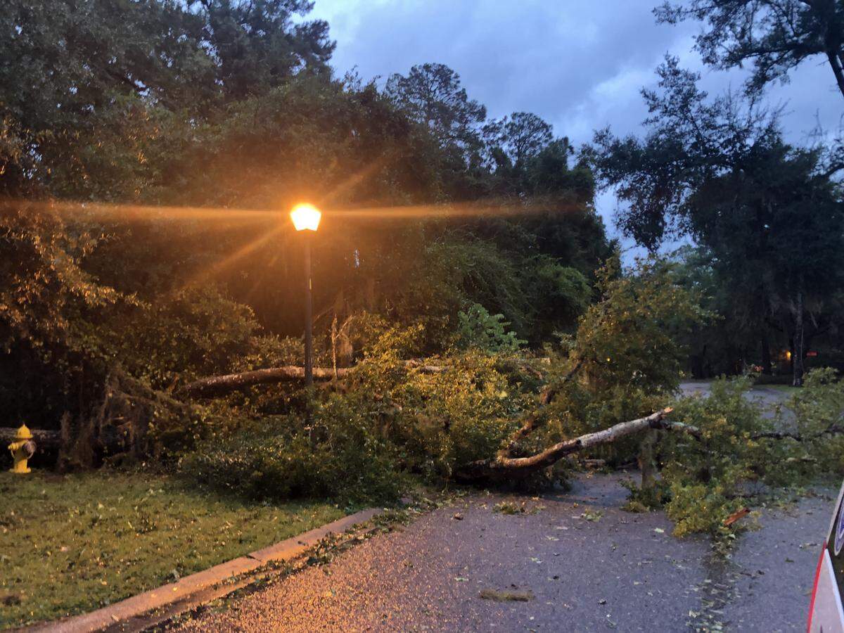 A large tree blocks both lanes of traffic on Hospital Center Boulevard near Hilton Head Hospital on Sept. 5.