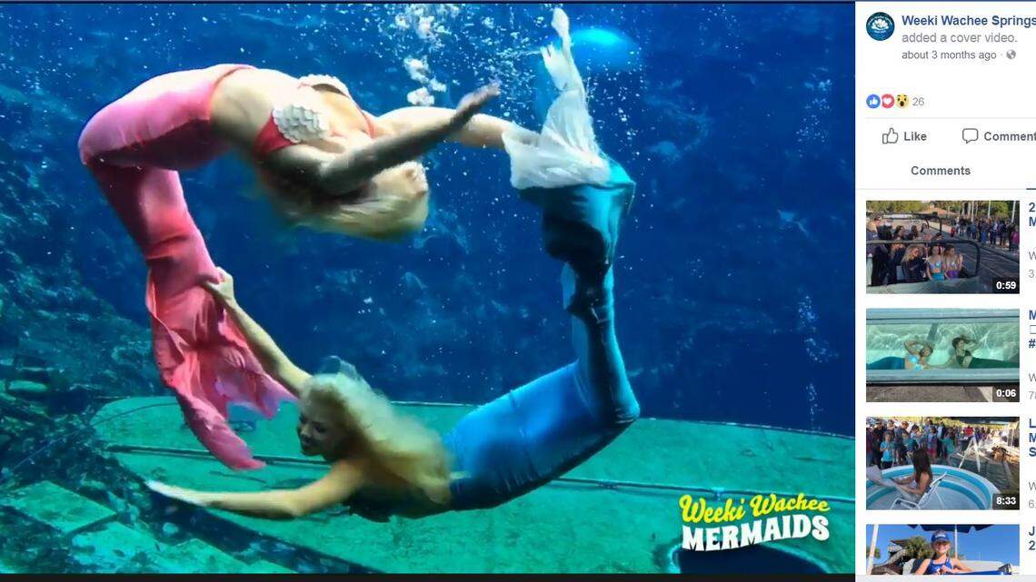 The mermaids str swimming this holiday weekend at Weeki Wachee State Park with the reopening of their renovated underwater theater.