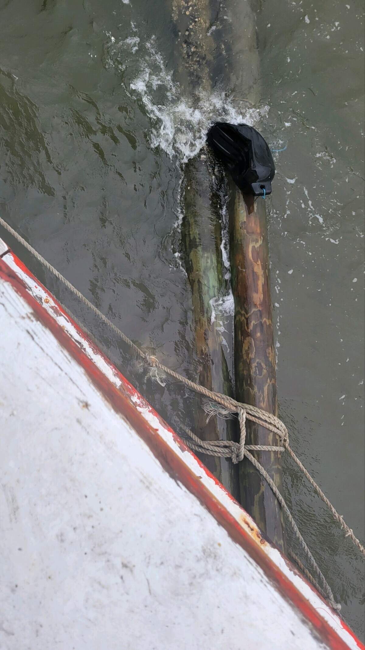 High winds snapped dolphin pilings at Sea Eagle Market at Village Creek on St. Helena Island Saturday morning, turning three boats lose. This photo shows four pilings that that had made up a dolphin.