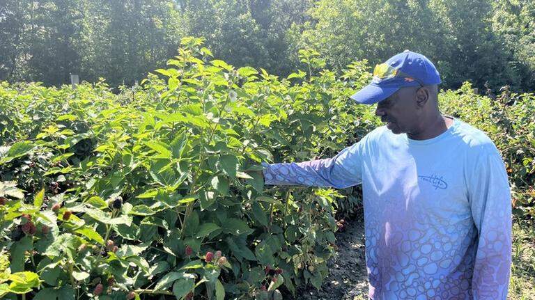 Hilton Head under ‘extreme drought conditions’ this spring. What does that mean?